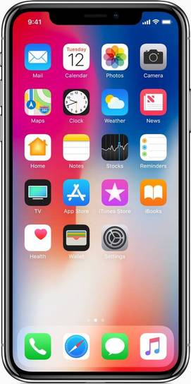 Apple iPhone X