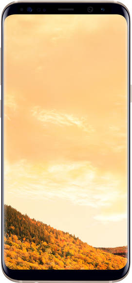 Samsung Galaxy S8 Plus