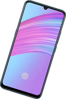 vivo S1